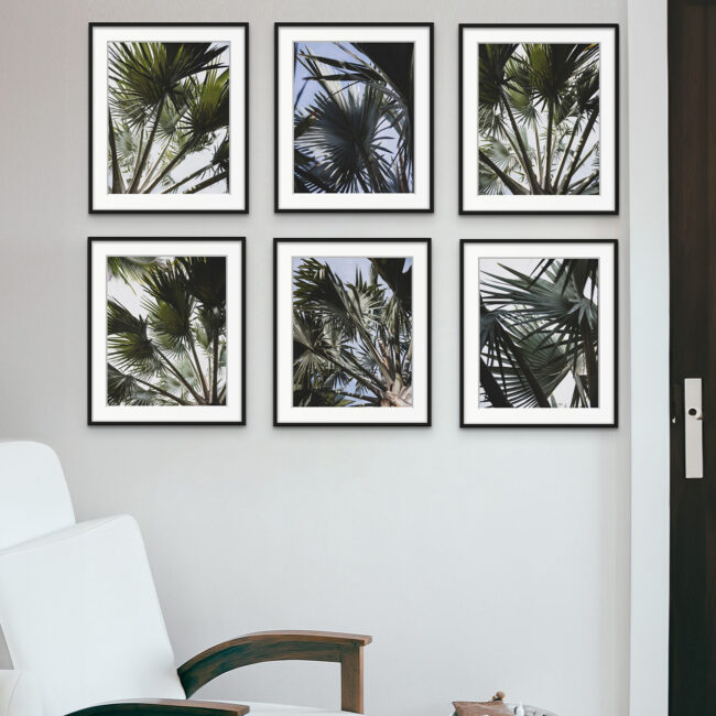 Coco Palms - Art - Jeanne Le Menn